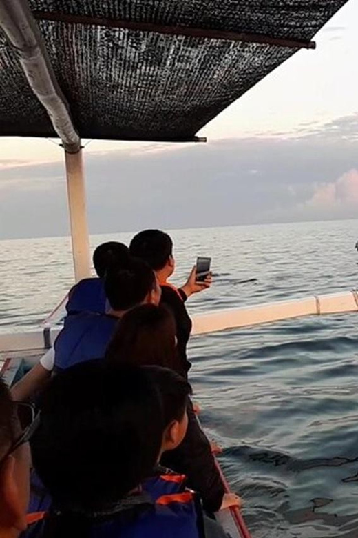 Lovina Dolphin Watching + Swimming with dolphin Private tour - Leaving Lovina Beach Before Sunrise