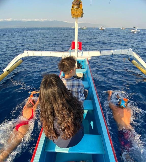 Lovina Dolphin Watching + Swimming with dolphin Private tour - Watching Dolphins as the Sun Comes Up