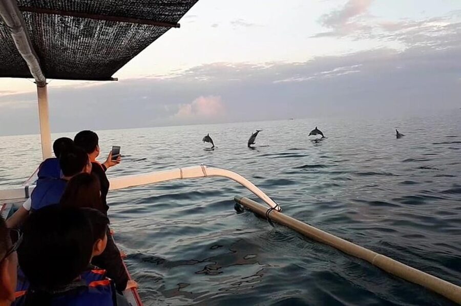 Lovina Dolphin Watching + Swimming with dolphin Private tour - Swimming Beside the Boat