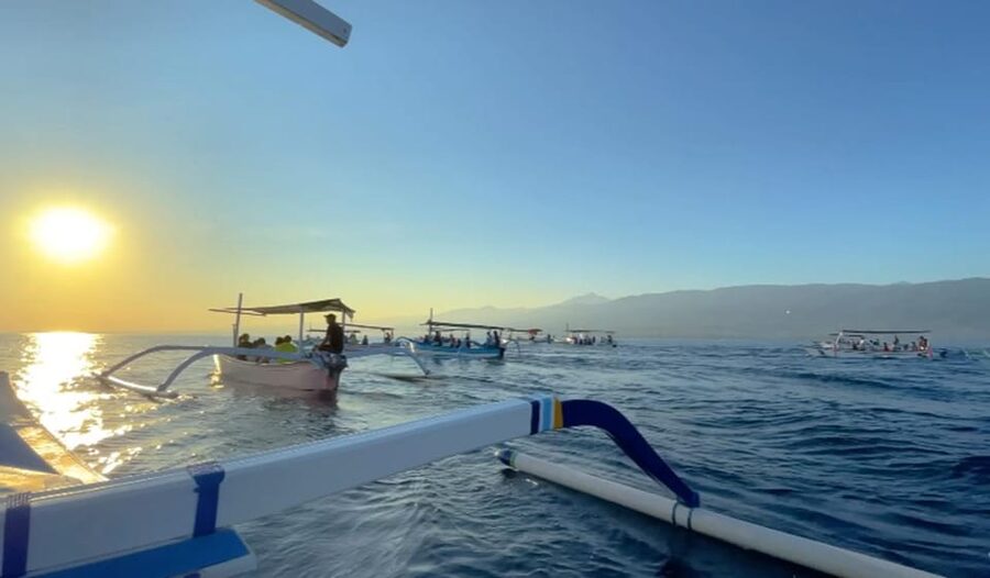 Lovina Dolphin Watching + Swimming with dolphin Private tour - Snorkeling in Lovina Water