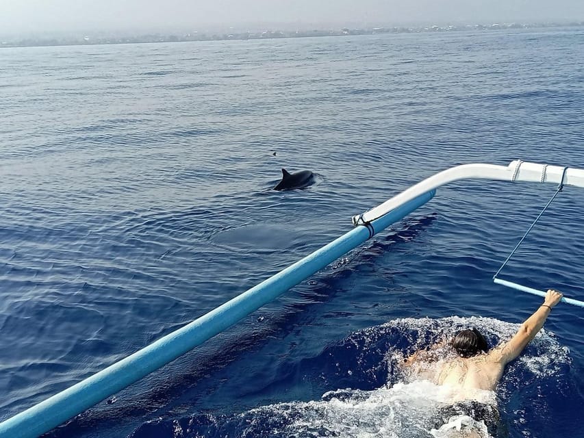 Lovina Dolphin Watching + Swimming with dolphin Private tour - Hotel Pickup or Beach Meeting Point