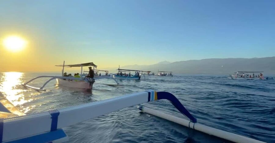 Lovina Dolphin Watching + Swimming with dolphin Private tour - Practical Things to Know Before You Go