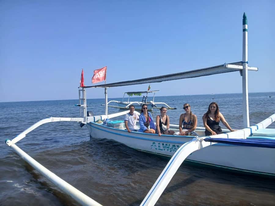 Lovina : SPECIAL FULL TRIP dolphin watch, swim, and snorkel - Dolphin watching at sunrise