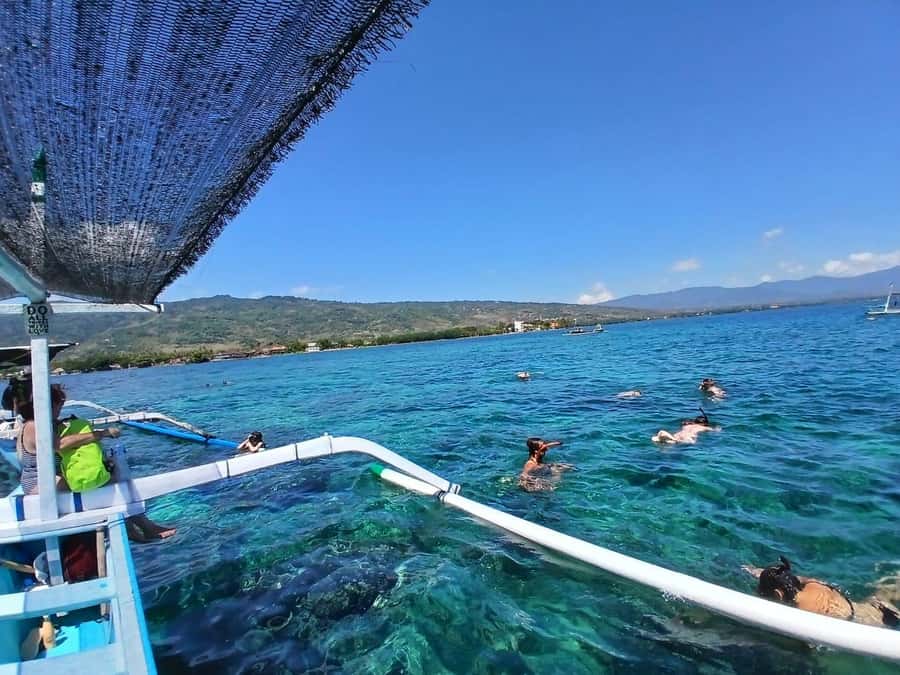 Lovina : SPECIAL FULL TRIP dolphin watch, swim, and snorkel - Guides who shape the morning