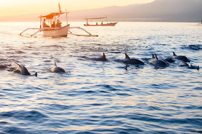 Lovina Sunrise Dolphin & Waterfall Tour - Leaving Ubud at 3am for North Bali