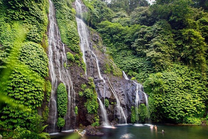 Lovina Sunrise Dolphin & Waterfall Tour - Who should book this North Bali day?