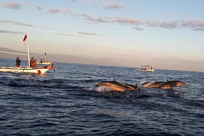 Lovina Sunrise Dolphin with option snorkeling and waterfall - Key points to know before you book