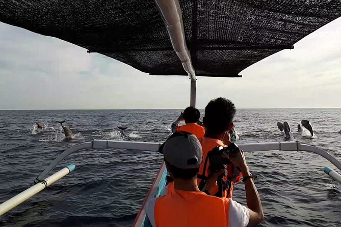Lovina Sunrise Dolphin with option snorkeling and waterfall - Wild dolphins, not a guaranteed performance