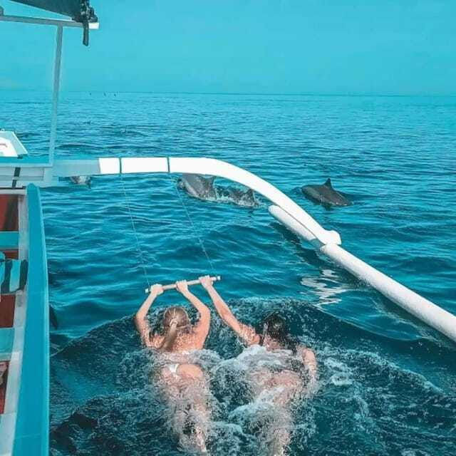 Lovina: Watching Dolphin, Swimming Dolphin Bali Tour - Who will enjoy this morning on the Lovina Sea?