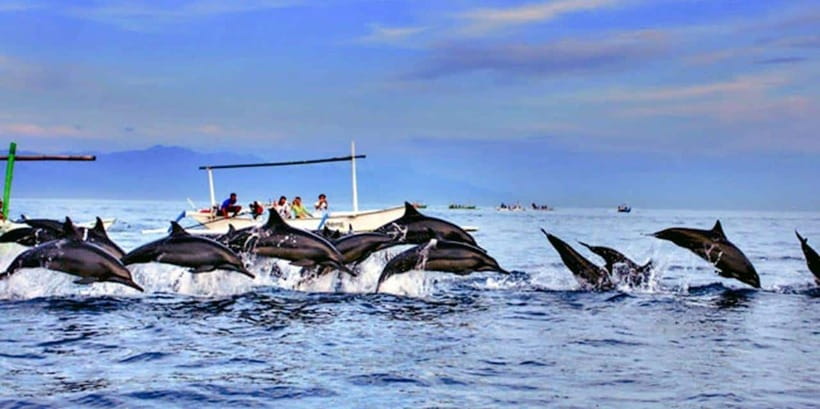 Lovina: Watching Dolphin, Swimming Dolphin Bali Tour - Reaching the meeting point at Krisnawan Dolphin Tour