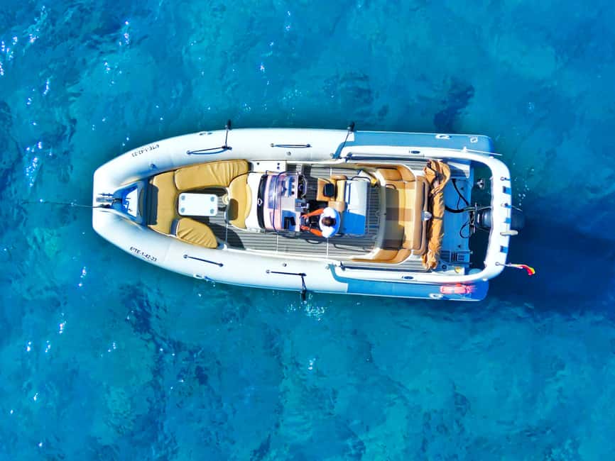 Luxury EcoMarine Safari – Whale & Dolphin Watching Adventure - About an hour searching for dolphins and whales