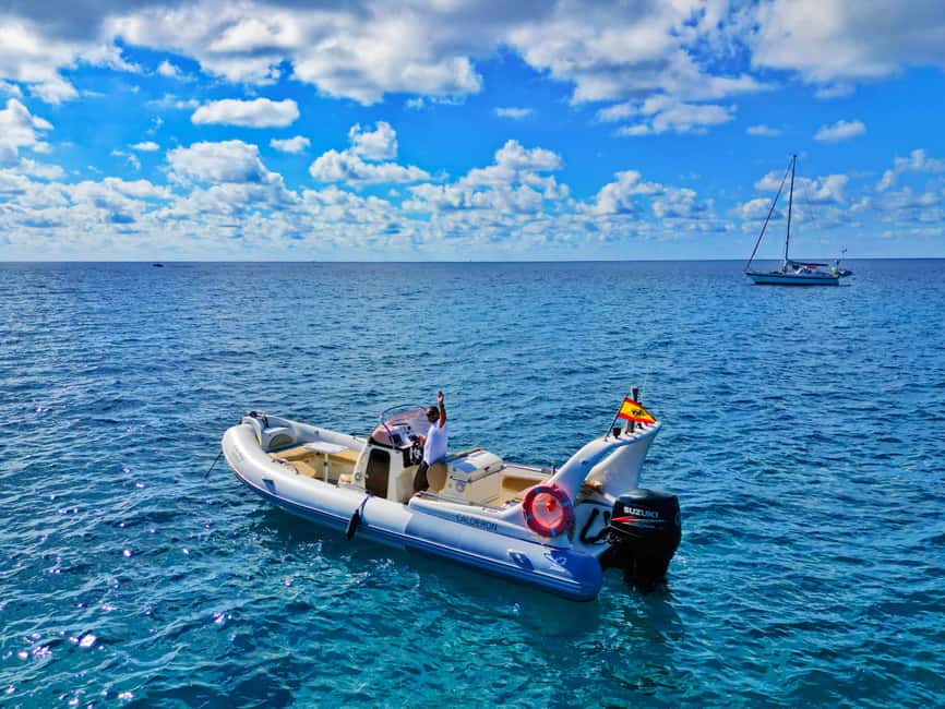 Luxury EcoMarine Safari – Whale & Dolphin Watching Adventure - Coastal sightseeing around Arona