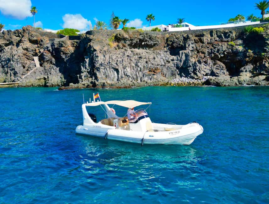 Luxury EcoMarine Safari – Whale & Dolphin Watching Adventure - The eco-friendly side of the experience