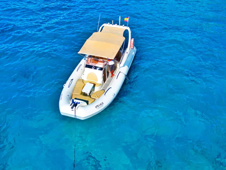 Luxury EcoMarine Safari – Whale & Dolphin Watching Adventure - Useful booking details for a smooth morning or afternoon