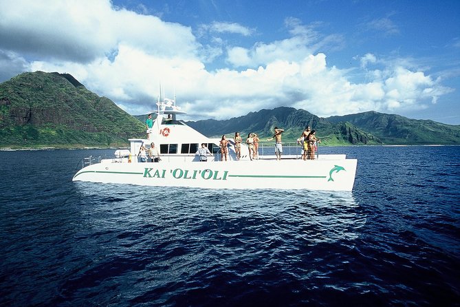 Luxury Snorkel Cruise, Local Buffet with Whale & Dolphin Watch - Snorkeling instruction before you enter the water