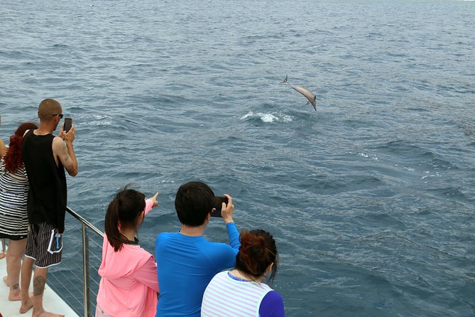 Luxury Snorkel Cruise, Local Buffet with Whale & Dolphin Watch - Three and a half hours that can feel full