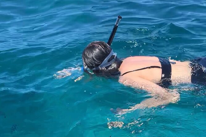 Luxury Swimming with DOLPHINS IN MNEMBA and LUNCH - A sandbank stop for photos and tropical fruit