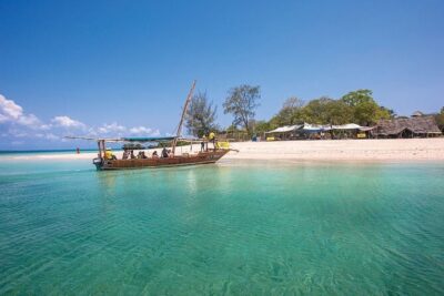 Luxury Swimming with DOLPHINS IN MNEMBA and LUNCH