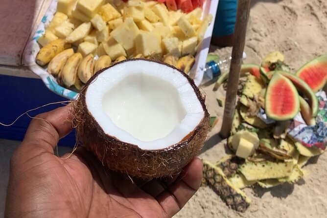 Luxury Swimming with DOLPHINS IN MNEMBA and LUNCH - What the $130 price really covers