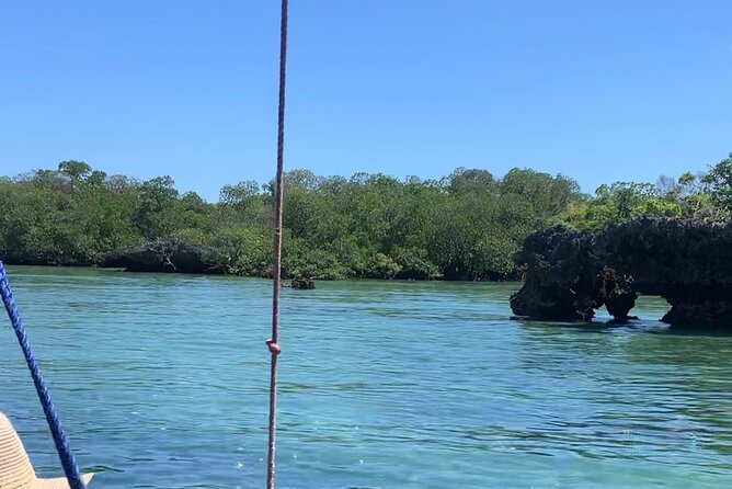 Luxury Swimming with DOLPHINS IN MNEMBA and LUNCH - Who will enjoy this three-hour private outing