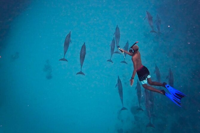 Lydia Boat Mauritius :Private boat tour:Whales&Dolphins encounter - The seafood lunch is a major part of the day