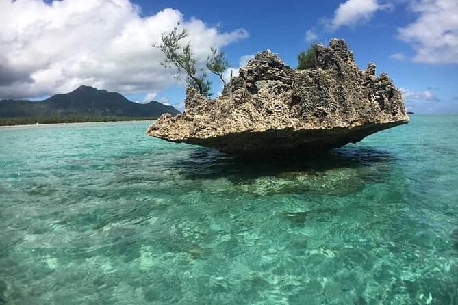 Lydia Boat Mauritius :Private boat tour:Whales&Dolphins encounter - Private service and the value of the crew