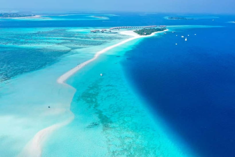 Maafushi: Nurse Sharks, Stingrays, Sand Bank and Dolphins - Key points to know before you book