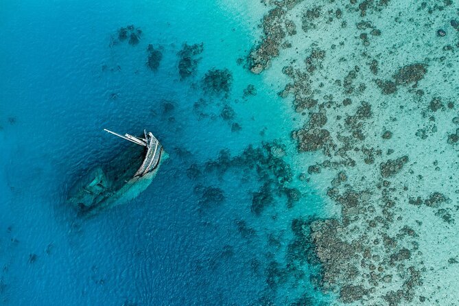 Maafushi: Ship wreck & Nurse shark snorkeling with Dolphin watching - A full morning and afternoon from Maafushi