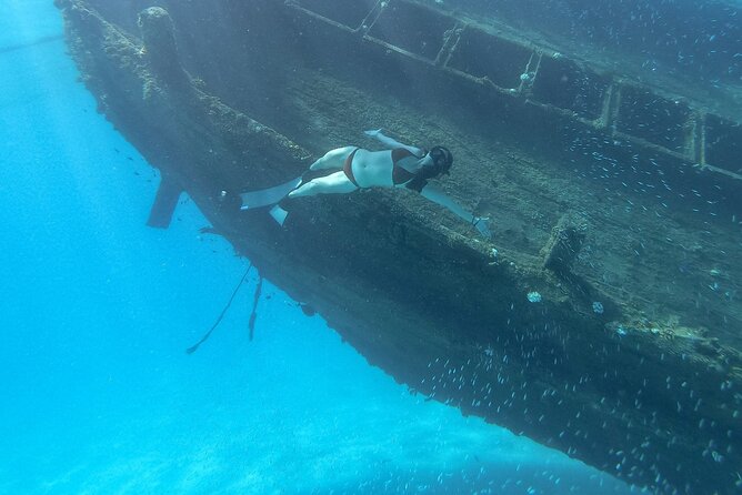 Maafushi: Ship wreck & Nurse shark snorkeling with Dolphin watching - Is $100 a fair price from Maafushi?