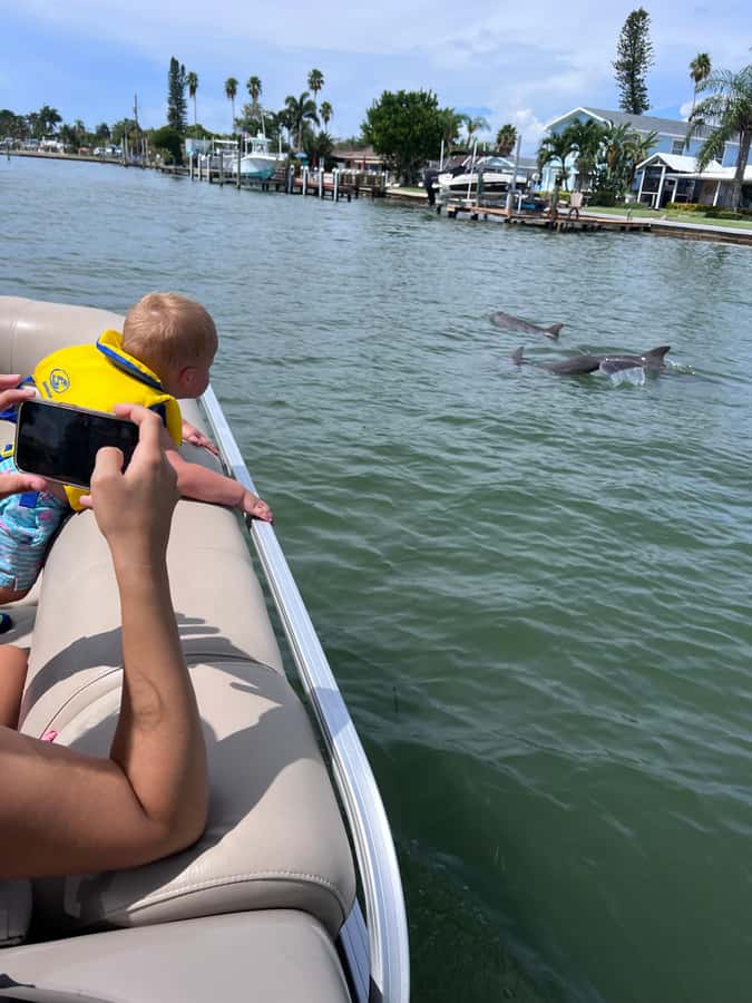 Madeira Beach: 1.5 Hour Dolphin Excursion - Why the $250 flat rate can be good value