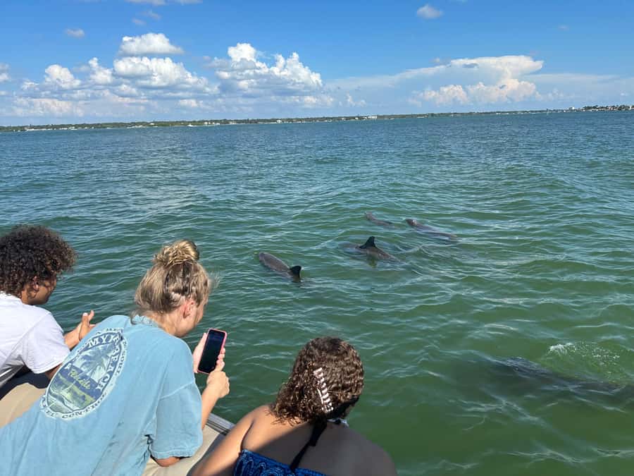 Madeira Beach: 1.5 Hour Dolphin Excursion - Booking, timing, and cancellation advice