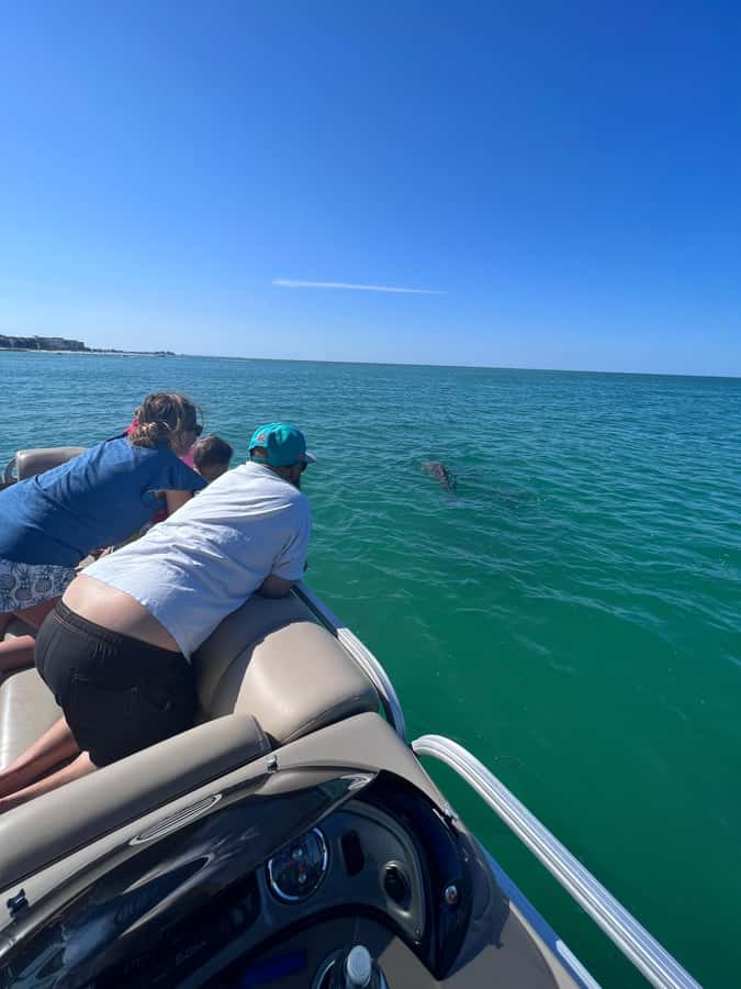 Madeira Beach: 1.5 Hour Dolphin Excursion - FAQ