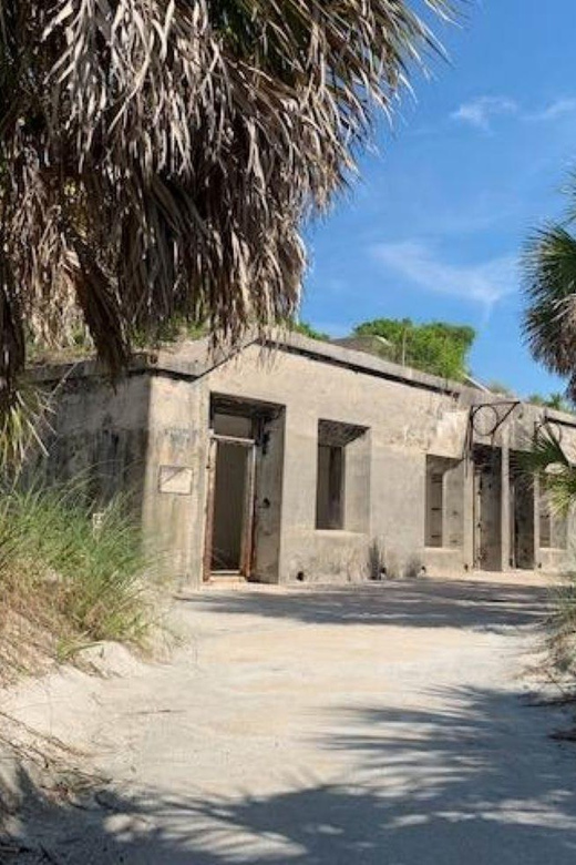 Madeira Beach: Egmont Key Snorkeling and Dolphin Cruise - Dolphin watching, manatees, and sea turtles