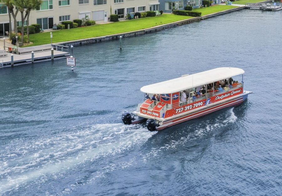 Madeira Beach: Guided Dolphin Watching Eco-Friendly Cruise - Is $31 a good value?