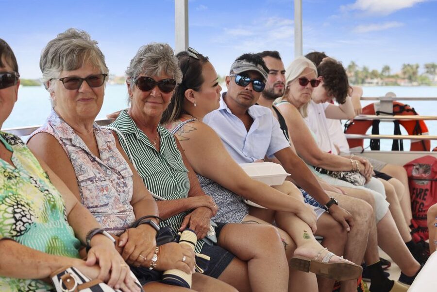 Madeira Beach: Guided Dolphin Watching Eco-Friendly Cruise - Should you book the Madeira Beach dolphin cruise?