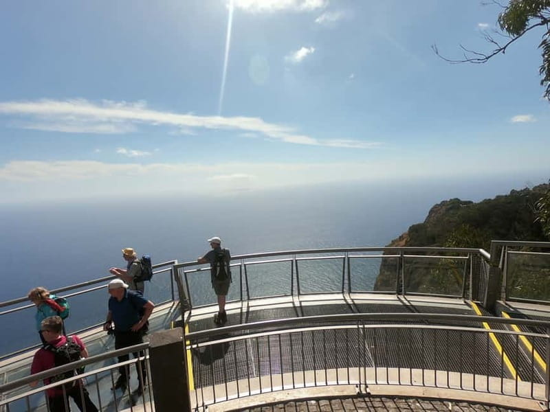 Madeira: Cabo Girão, Wines Experience and Dolphins Watching - Cabo Girão’s glass platform starts the day high above Madeira
