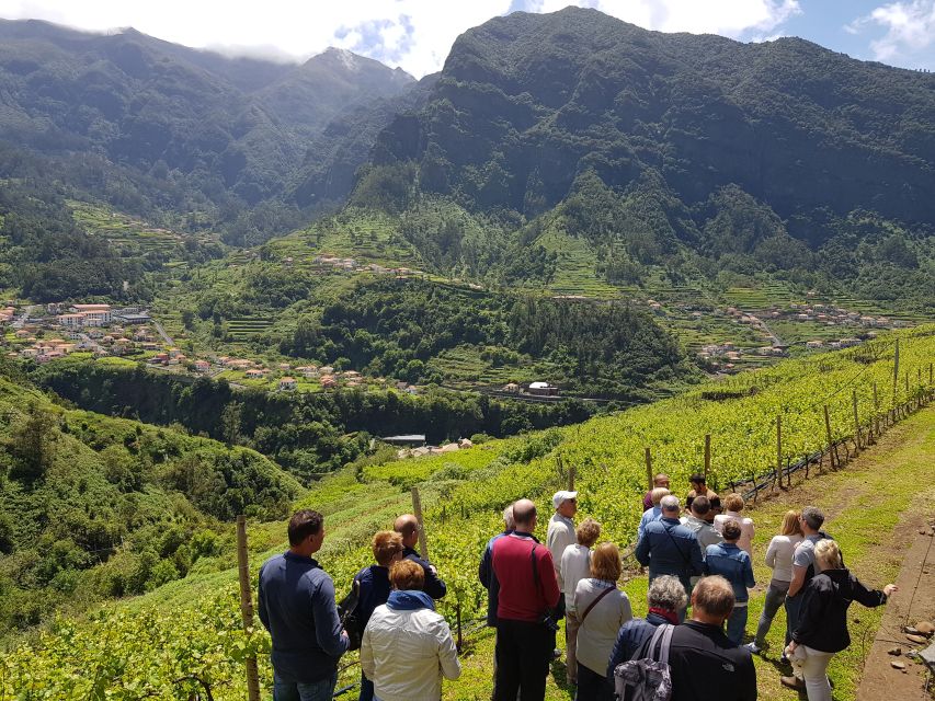 Madeira: Cabo Girão, Wines Experience and Dolphins Watching - The three-hour catamaran trip looks for dolphins and whales