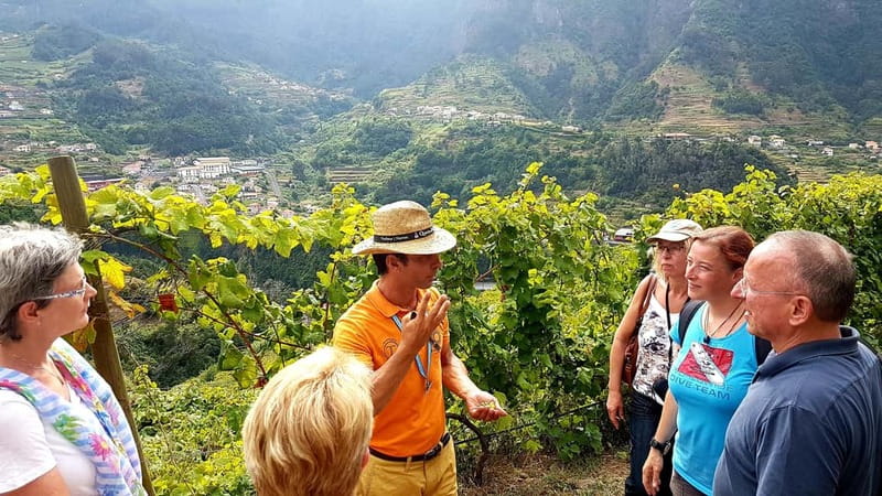 Madeira: Cabo Girão, Wines Experience and Dolphins Watching - Who should book this experience?