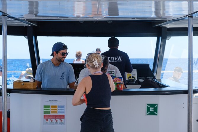 Madeira Dolphin and Whale Watching on a Ecological Catamaran - Setting out from Funchal on a purpose-built catamaran