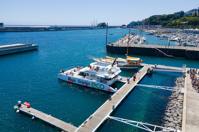 Madeira Dolphin and Whale Watching on a Ecological Catamaran - Returning along Madeira’s south coast