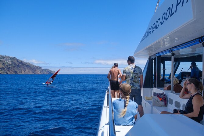 Madeira Dolphin and Whale Watching on a Ecological Catamaran - Who will enjoy this Madeira boat trip most