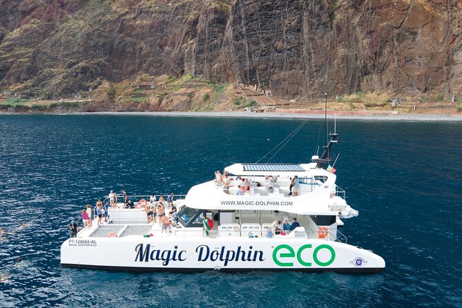 Madeira Dolphin and Whale Watching on a Ecological Catamaran - Quiet viewing with hybrid-electric engines