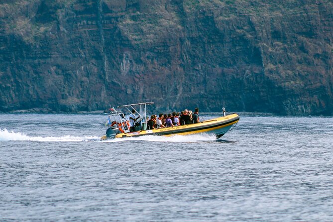 Madeira Dolphin & Whale Watching Tour - Who will enjoy this RIB trip most?