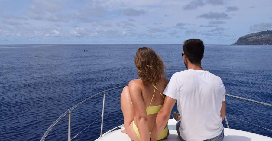 Madeira: Whale and Dolphin Watching Private Cruise - Key points to know before booking