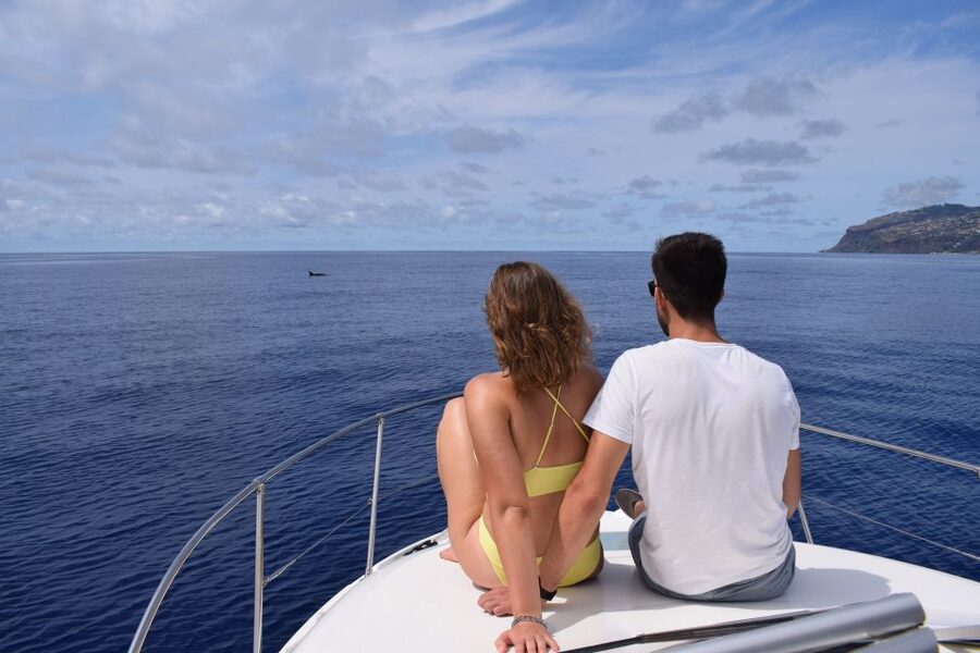 Madeira: Whale and Dolphin Watching Private Cruise - What the price includes, and what it does not