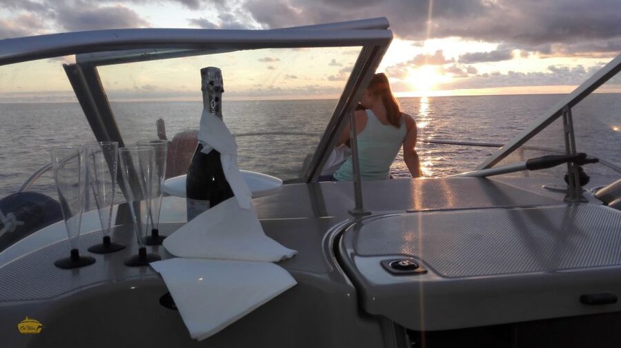 Madeira: Whale and Dolphin Watching Private Cruise - Watching Madeira’s coast from the water