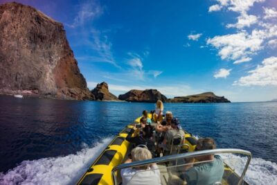 Whale and Dolphin Watching Tour
