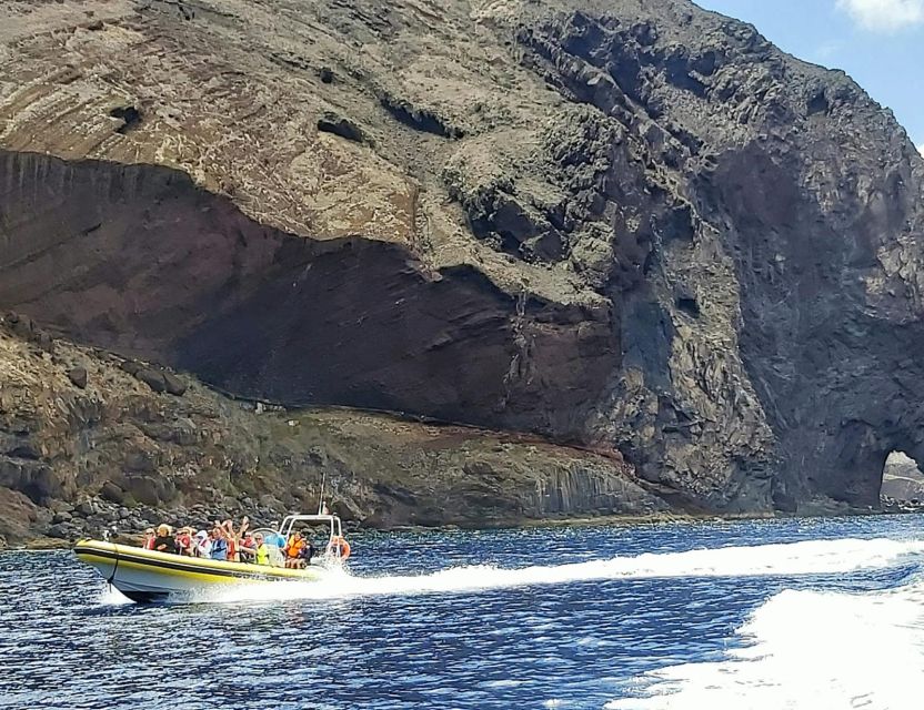 Madeira: Whale and Dolphin Watching Tour - Is the $70 price good value?