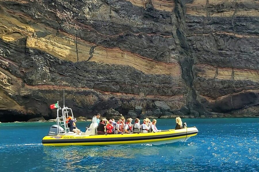 Madeira: Whale and Dolphin Watching Tour - A practical plan for the meeting point