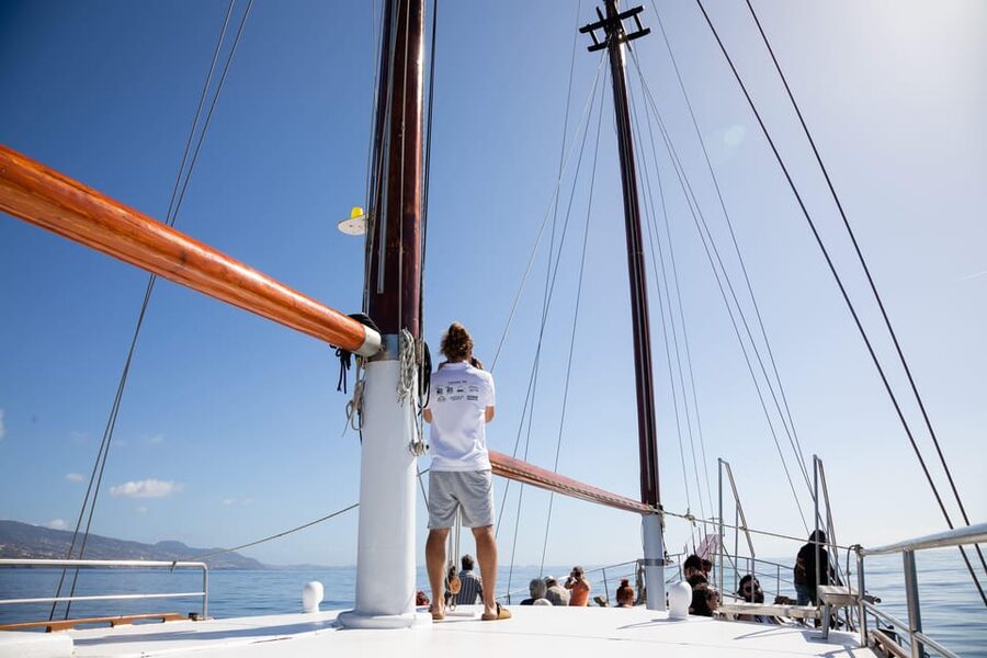 Madeira : Whales and Dolphins wooden boat excursion - The crew and the feel of the trip